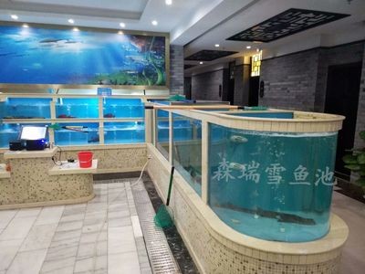 動森魚缸裝飾島上加分嗎：《動物森友會》動物森友會島嶼評分的加分機制和技巧 動森魚缸裝飾島上加分嗎：《動物森友會》動物森友會島嶼評分的加分機制和技巧 魚缸百科 第4張