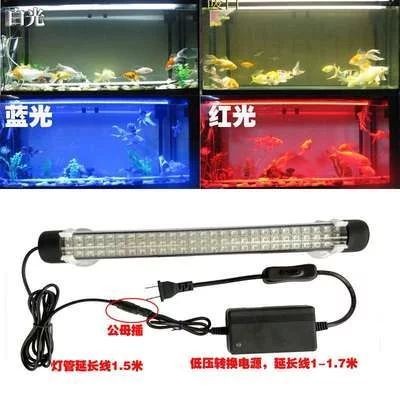 龍魚燈怎么放