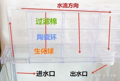不用電的魚缸過(guò)濾器有用嗎知乎：不用電的魚缸過(guò)濾器實(shí)用性時(shí)需要考慮魚缸過(guò)濾器的基本功能