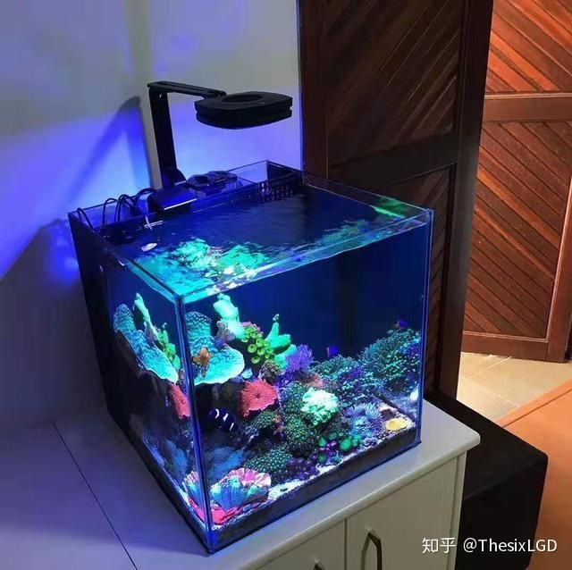 不用電的魚缸過(guò)濾器有用嗎知乎：不用電的魚缸過(guò)濾器實(shí)用性時(shí)需要考慮魚缸過(guò)濾器的基本功能