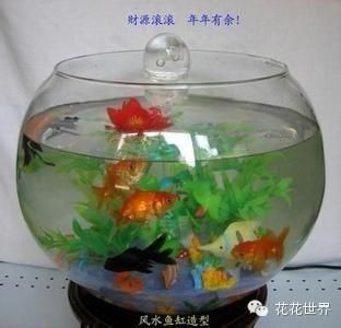 擺放魚缸位置的風水：關于魚缸擺放位置的一些風水知識