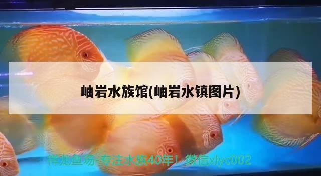 岫巖水族館(岫巖水鎮(zhèn)圖片)