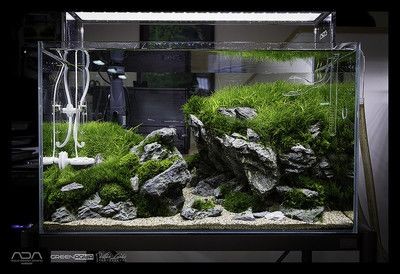 1.2米魚缸造景效果圖片及價格:1.2米魚缸造景圖片及價格 魚缸百科 第1張 1.2米魚缸造景效果圖片及價格:1.2米魚缸造景圖片及價格 1.2米魚缸造景效果圖片及價格:1.2米魚缸造景圖片及價格 魚缸百科 第1張