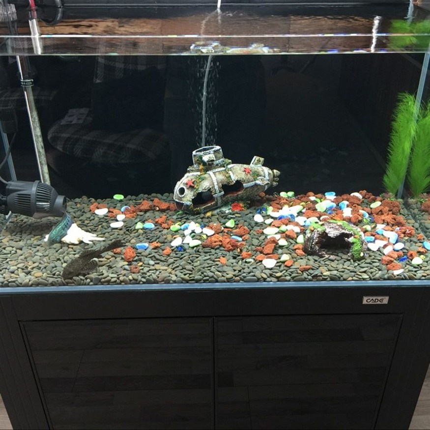 1.2米魚缸造景效果圖片及價格:1.2米魚缸造景圖片及價格 魚缸百科 第2張 1.2米魚缸造景效果圖片及價格:1.2米魚缸造景圖片及價格 1.2米魚缸造景效果圖片及價格:1.2米魚缸造景圖片及價格 魚缸百科 第2張