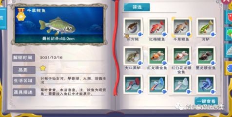 創造與魔法中型魚缸觀賞魚:創造與魔法中型觀賞魚的獲取與玩法 魚缸百科 第1張 創造與魔法中型魚缸觀賞魚:創造與魔法中型觀賞魚的獲取與玩法 創造與魔法中型魚缸觀賞魚:創造與魔法中型觀賞魚的獲取與玩法 魚缸百科 第1張