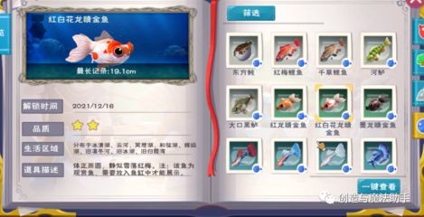 創造與魔法中型魚缸觀賞魚:創造與魔法中型觀賞魚的獲取與玩法 魚缸百科 第3張 創造與魔法中型魚缸觀賞魚:創造與魔法中型觀賞魚的獲取與玩法 創造與魔法中型魚缸觀賞魚:創造與魔法中型觀賞魚的獲取與玩法 魚缸百科 第3張