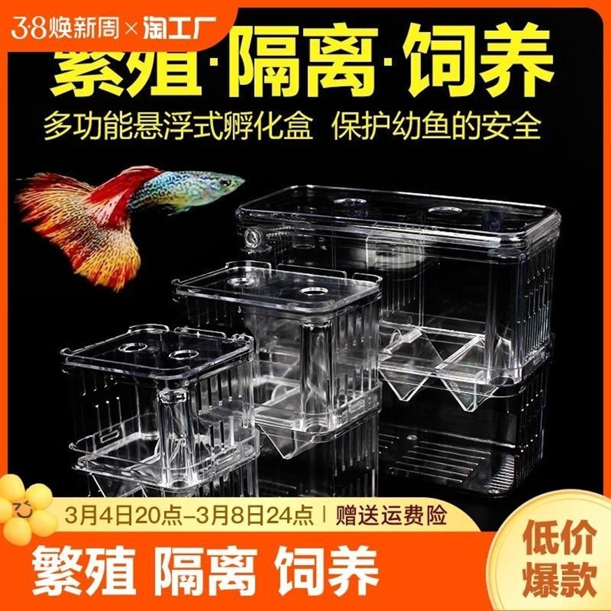 斗魚魚缸制作方法：如何選擇合適的斗魚魚缸