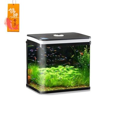碧歐寶生態(tài)小魚缸怎么樣：碧歐寶生態(tài)小魚缸使用心得碧歐寶生態(tài)小魚缸使用心得