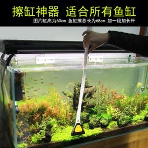 徹底清洗魚缸重新開缸要多久才好：徹底清洗魚缸并重新開缸是一個涉及多個步驟的步驟