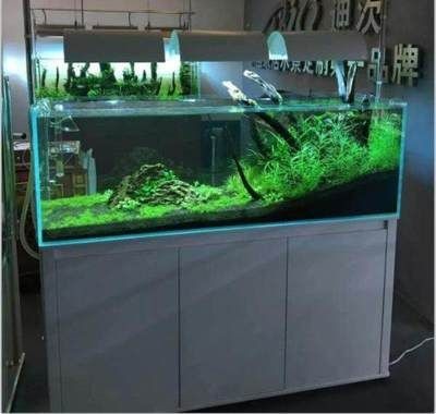 白魚缸怎么變成黑色缸：如何將一個白色魚缸的底部或其他部分顏色改變為黑色