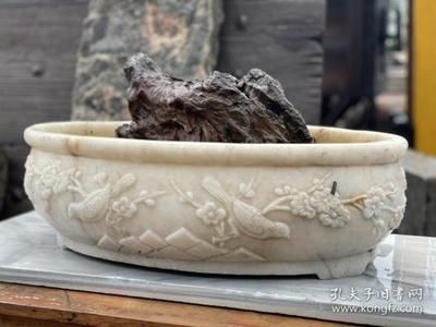 白玉石放魚缸好不好養活魚：如何正確使用白玉石養魚