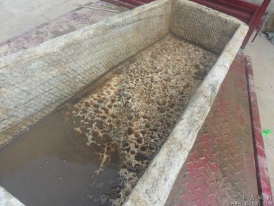 白玉石放魚缸好不好養活魚：如何正確使用白玉石養魚