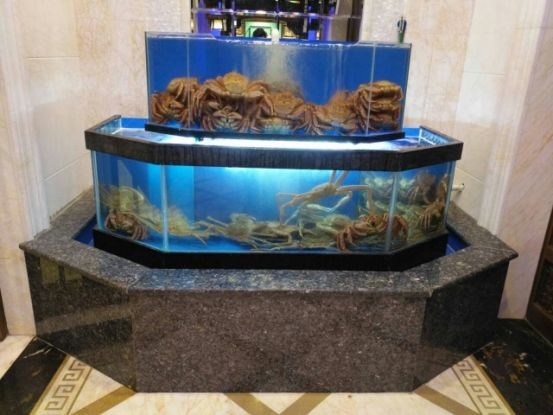 賓館大廳魚缸擺放位置圖：賓館大廳擺放魚缸擺放位置的建議要避免將其擺放在神像之下