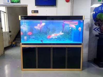 賓館大廳魚缸擺放位置圖：賓館大廳擺放魚缸擺放位置的建議要避免將其擺放在神像之下
