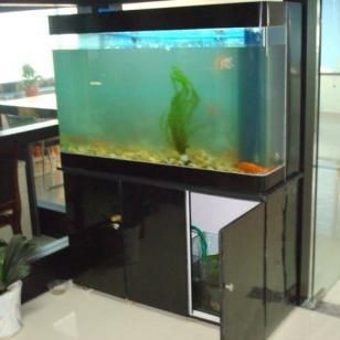 超白魚缸批發廠家在哪里有：中國超白魚缸廠家