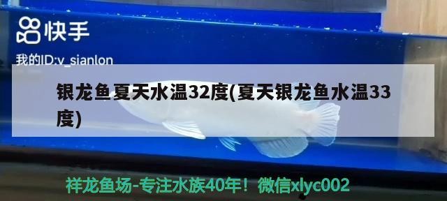 銀龍魚夏天水溫32度(夏天銀龍魚水溫33度)