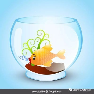 印尼紅龍魚品種有哪些（印尼紅龍魚品種有哪些圖片）