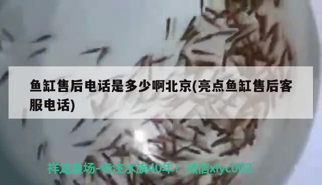魚缸售后電話是多少啊北京(亮點魚缸售后客服電話)