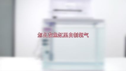 打氣筒給魚缸加氧：使用打氣筒給魚缸加氧可行嗎？