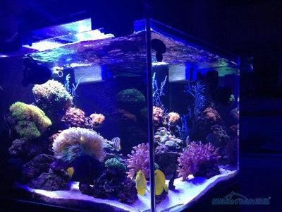 市中區恒升水族館（市中區恒升水族館電話）