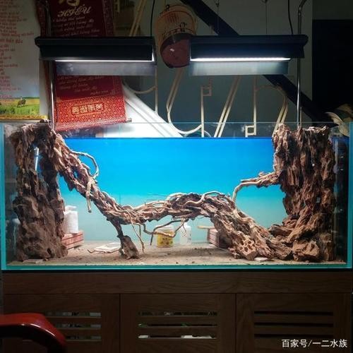 駐馬店市開發(fā)區(qū)田園風情生態(tài)水族館（駐馬店市開發(fā)區(qū)田園風情生態(tài)水族館電話）