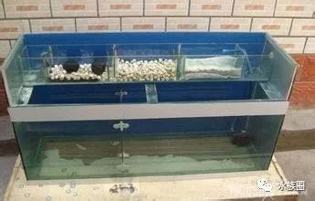 大型魚缸設計效果圖：大型魚缸設計效果圖大型魚缸設計效果圖