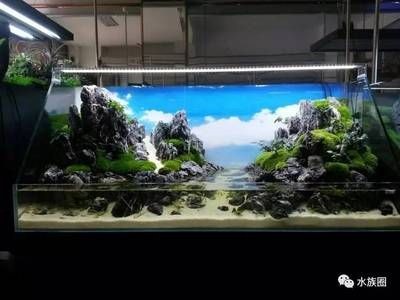 大型魚缸設計效果圖：大型魚缸設計效果圖大型魚缸設計效果圖