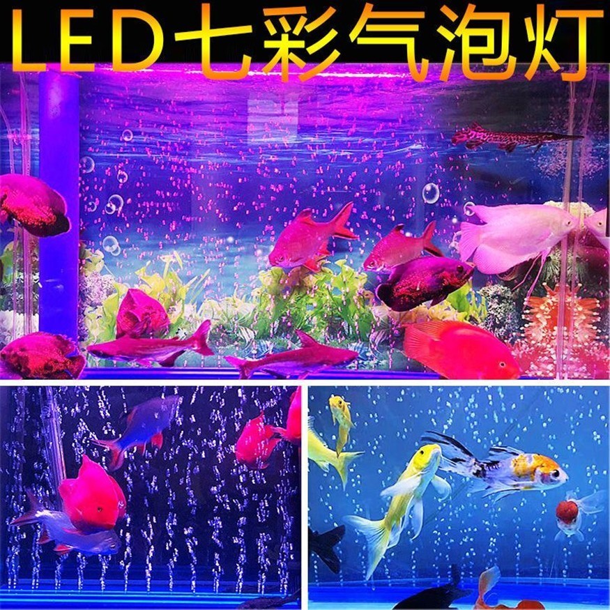 1.2米魚缸養(yǎng)多少條七彩：1.2米魚缸養(yǎng)七彩神仙魚數(shù)量的幾個(gè)關(guān)鍵信息點(diǎn)