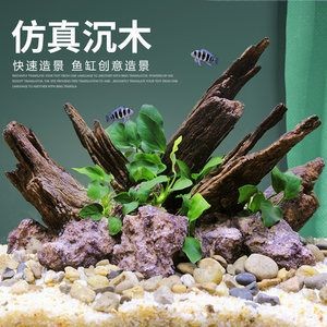 杜鵑藤魚缸造景：杜鵑根的養護秘籍