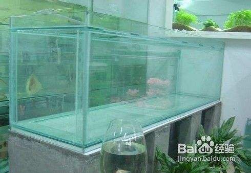 大魚缸滲水怎么辦：大魚缸滲水可能會(huì)對(duì)養(yǎng)的魚兒造成影響，幾種處理方法