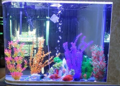 濟南歷下瀟非凡水族館
