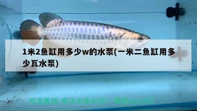 1米2魚(yú)缸用多少w的水泵(一米二魚(yú)缸用多少瓦水泵)