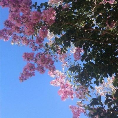 出售二手魚缸文案范文：【二手魚缸信息】二手魚缸信息】二手魚缸信息