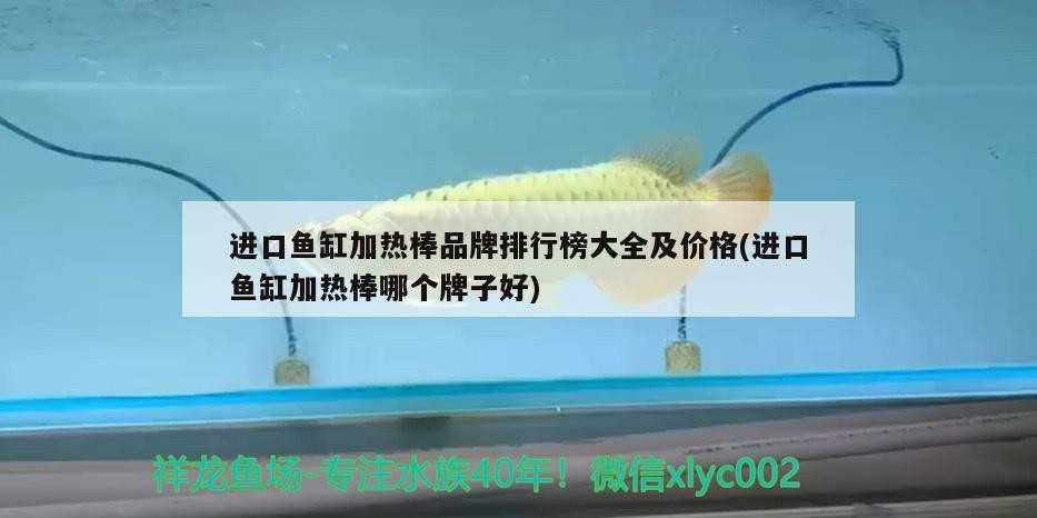 進口魚缸加熱棒品牌排行榜大全及價格(進口魚缸加熱棒哪個牌子好)