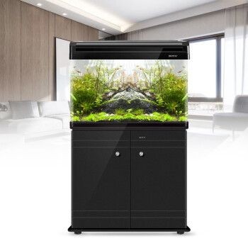 博宇魚缸怎么樣：博宇魚缸怎么樣？