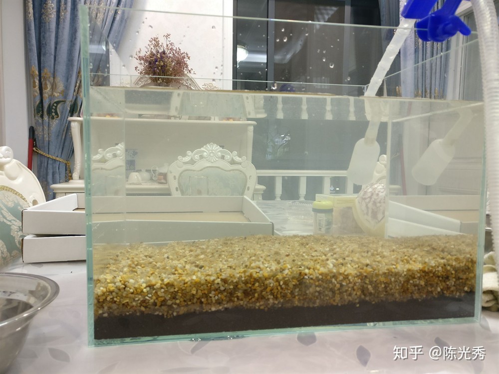 大魚缸加水 魚缸百科 第1張 大魚缸加水 大魚缸加水 魚缸百科 第1張