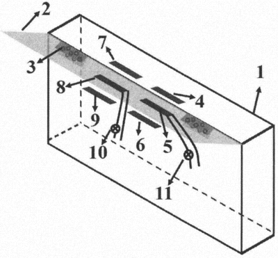 大魚缸加熱棒溫度調(diào)控全攻略，使用方法、安裝步驟及注意事項