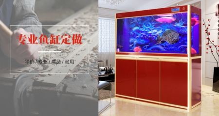 墻內(nèi)魚缸嵌入式設(shè)計(jì)，制作方法與實(shí)用技巧詳解（38字）