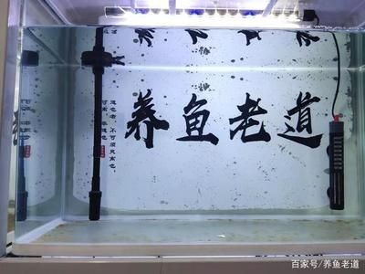 玻璃魚缸裂縫修補全攻略，材料選擇與操作步驟詳解