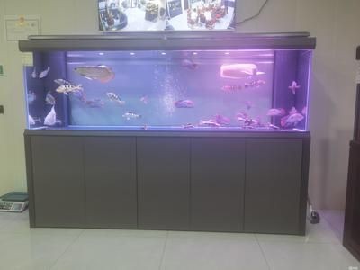 大型魚缸安裝步驟詳解，從選址到