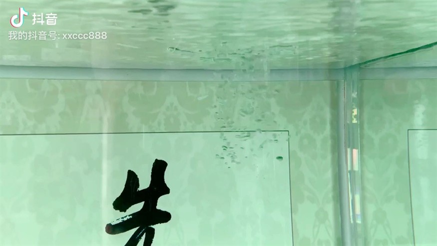 換水后氣泡頻現(xiàn)次日消散，水質(zhì)調(diào)整背后的科學(xué)解析