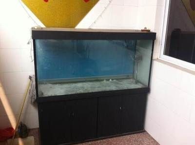 二手魚缸交易指南，個人轉讓流程及法律風險規避要點 二手魚缸交易指南，個人轉讓流程及法律風險規避要點 魚缸百科 第1張