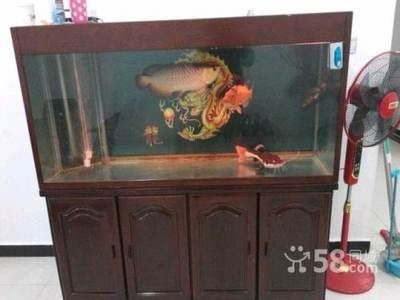 二手魚缸交易指南，個人轉讓流程及法律風險規避要點 二手魚缸交易指南，個人轉讓流程及法律風險規避要點 魚缸百科 第3張