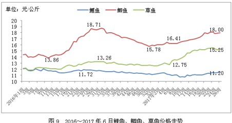 龍魚最貴一條價格揭秘，圖片及詳細價格表大全