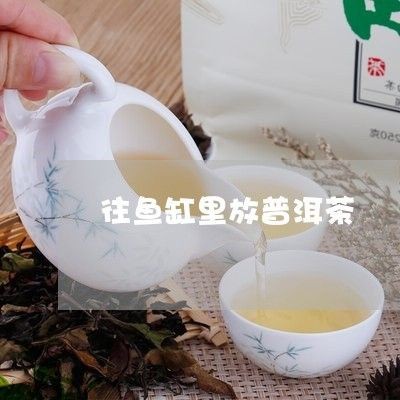 水能否倒進魚缸？相關視頻揭秘，探討將茶水