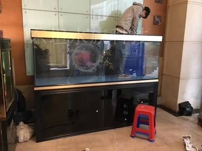 海魚缸安裝視頻，詳細步驟與注意事項
