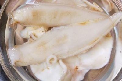 龍魚膠功效作用全解析，滋補強身、美容養顏，食用方法及注意事項詳解