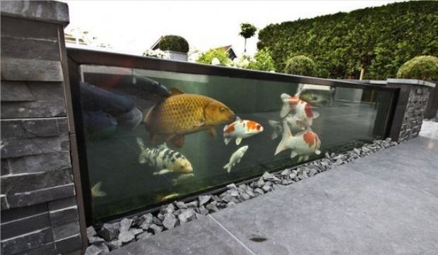 自建房圍墻嵌魚缸設(shè)計圖，墻內(nèi)鑲魚缸需