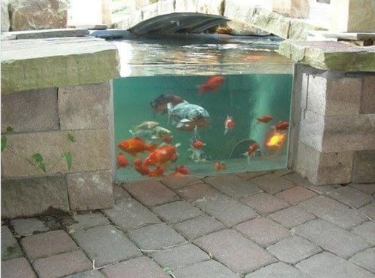 自建房圍墻嵌魚缸設(shè)計圖，墻內(nèi)鑲魚缸需