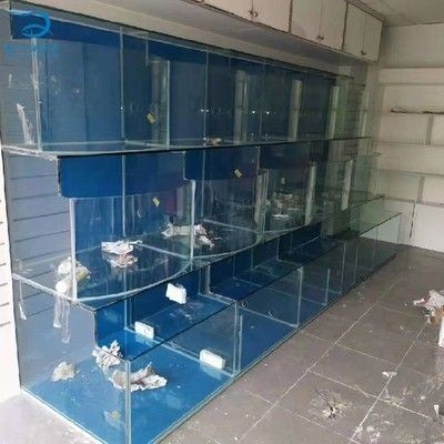 玻璃魚缸可以用多久換水：玻璃魚缸的換水周期一般多久換一次？